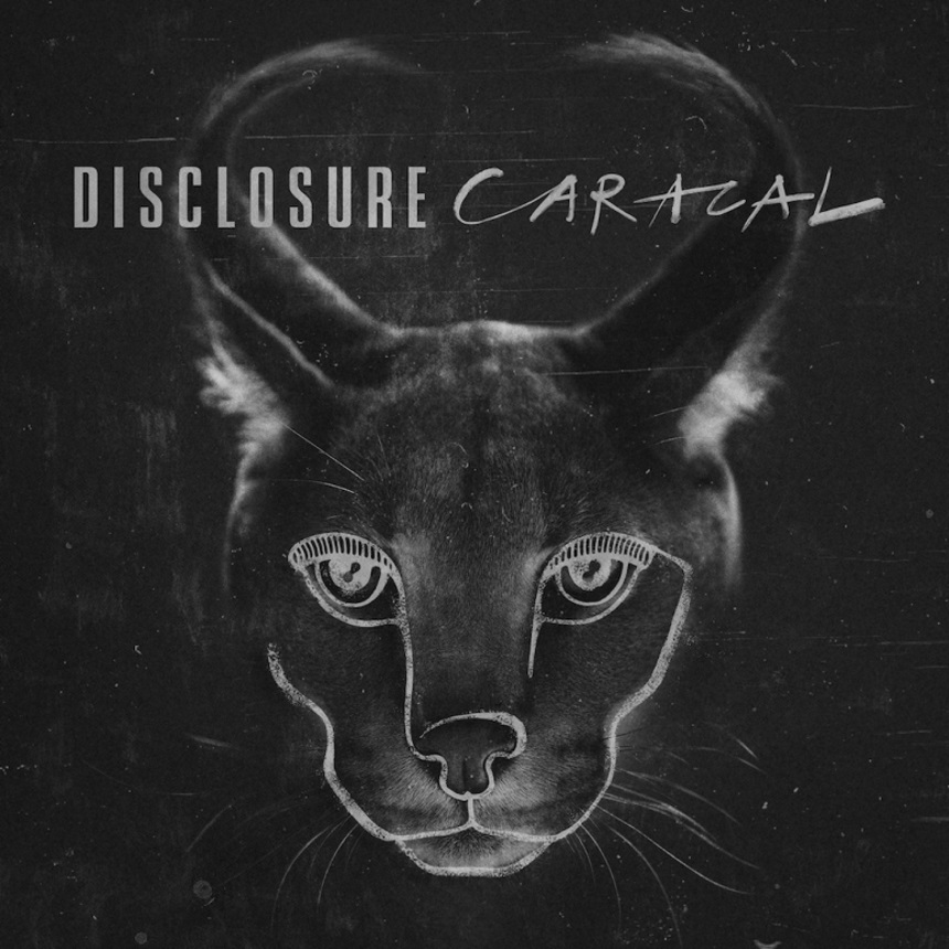 disclosure-caracal-cover davibe