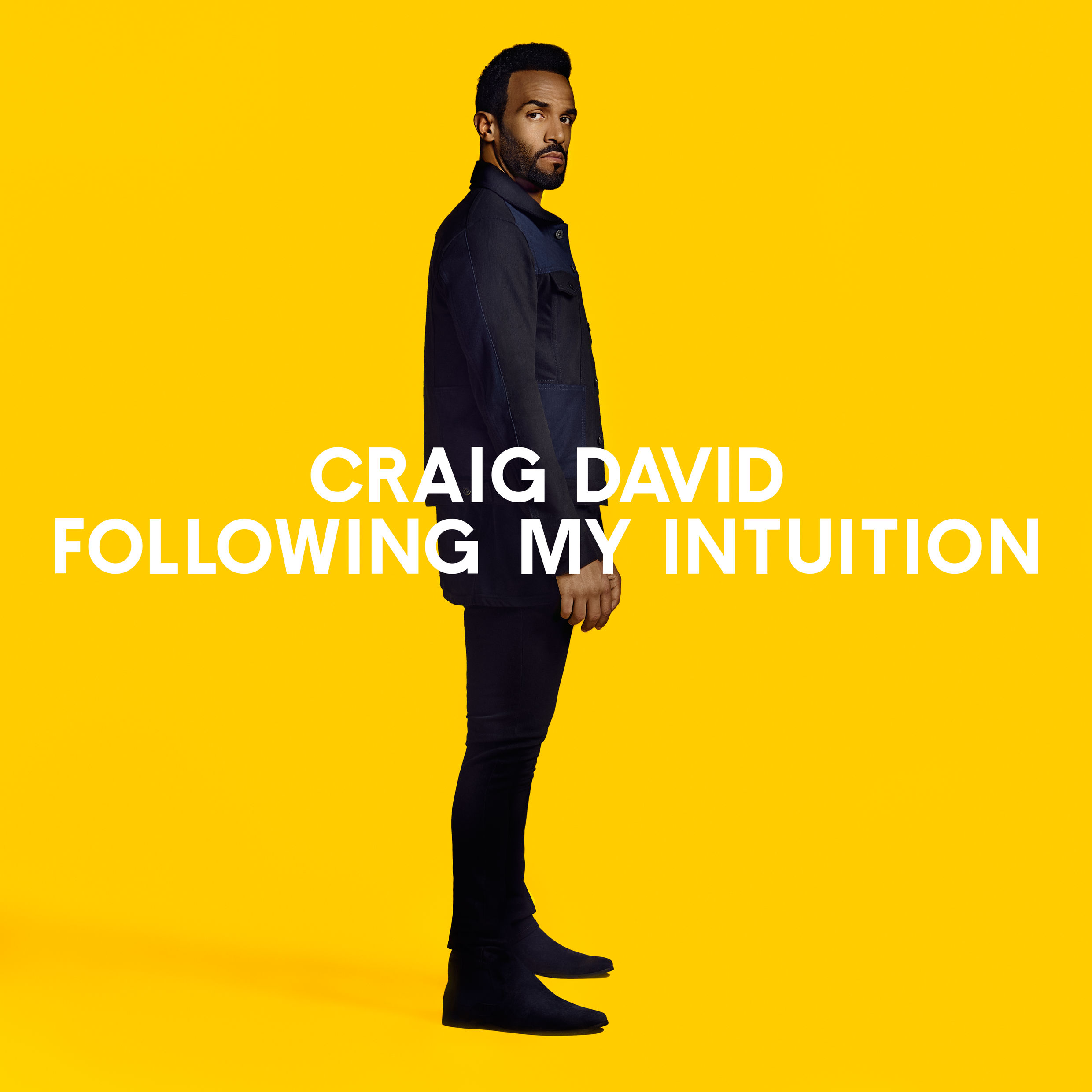 craig-david-following-my-intuition