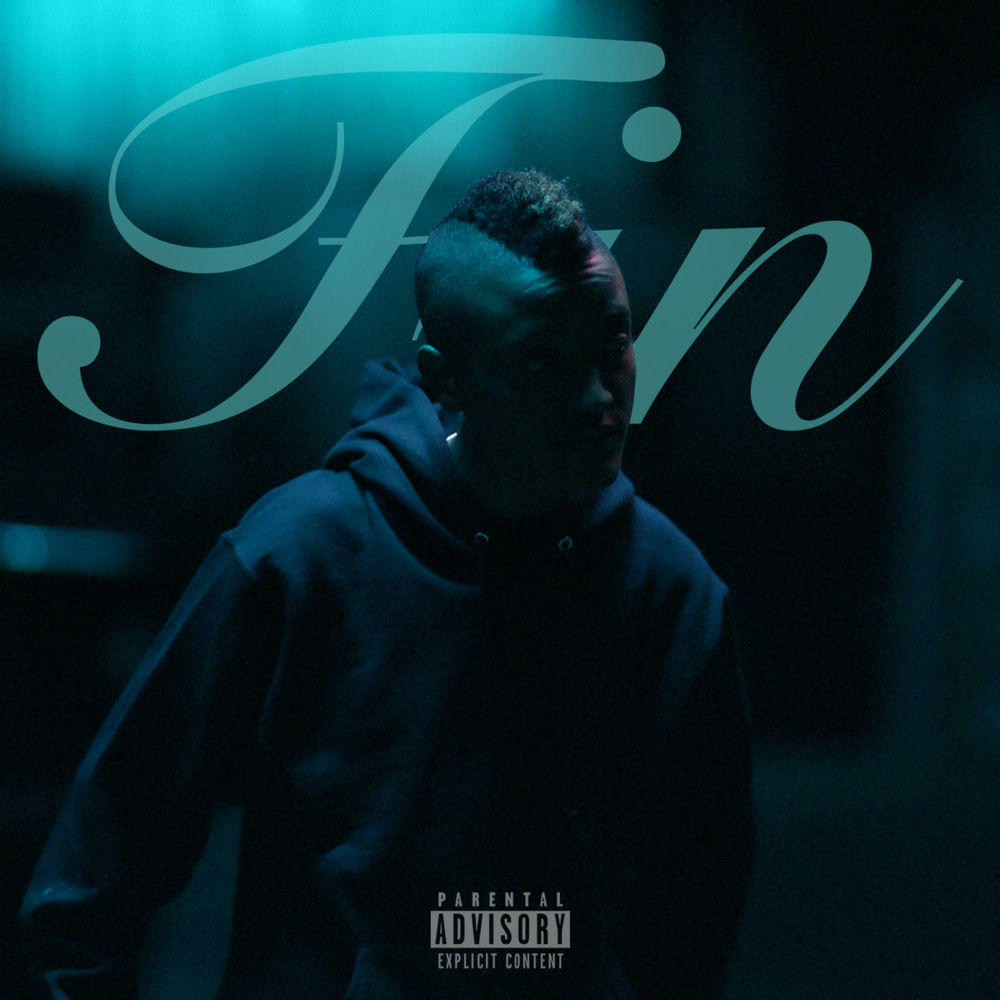 syd-fin-albumcover-davibe