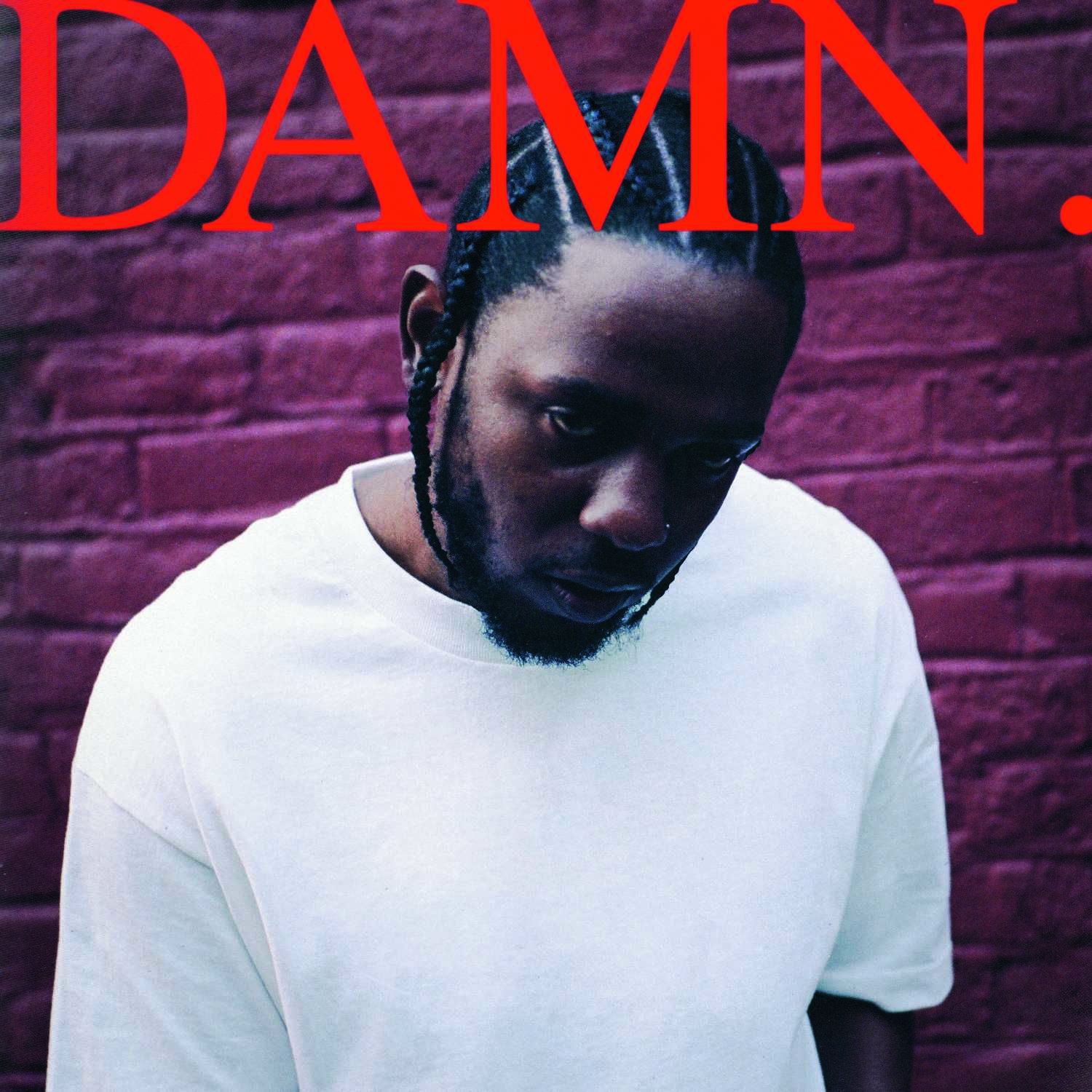 Cover_DAMN._300CMYK