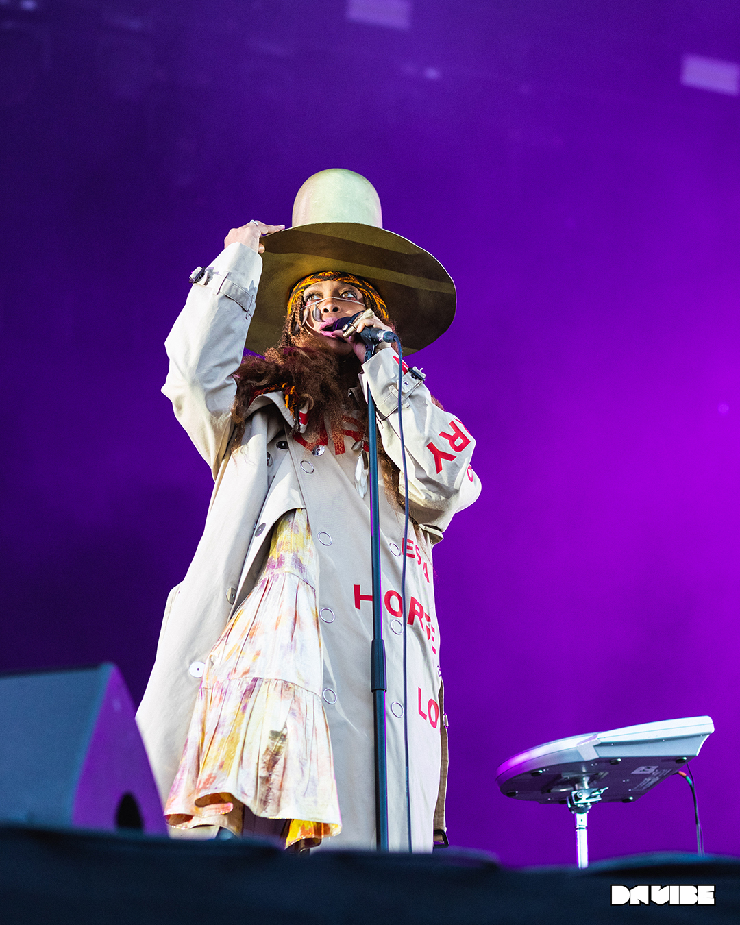 erykah-badu-we-love-green-insta-4